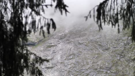 The-view-of-the-rocky-mountainside-through-willow-trees-in-Obersee,-Switzerland