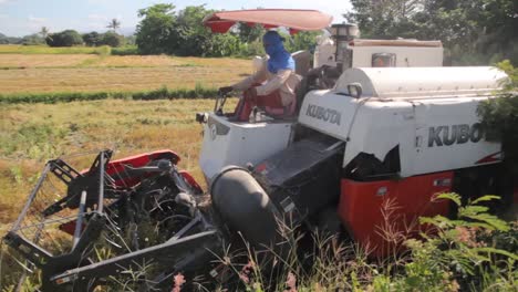 Toma-Estabilizada-De-Agricultores-Cosechando-Arroz-Usando-Una-Máquina-Cosechadora-Moderna.