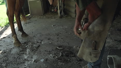 Horse-farrier-using-a-nippers-and-knife-pick-to-trim-a-horses-hoof