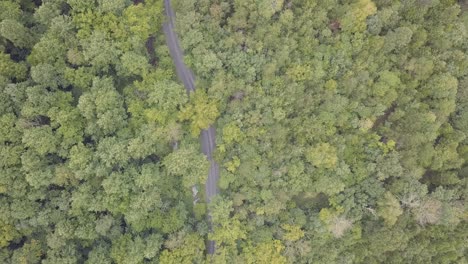 Drone-flying-facing-down-on-road-and-trees-and-forest-in-the-Smoky-Mountains-in-around-Tennessee-and-Virginia-for-a-beautiful-aerial-shot