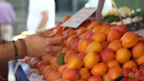 Young-male-picks-up-an-apricot-at-the-Women's-Market