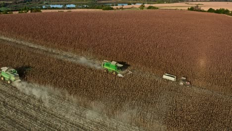 Aerial-of-sunflower-field-in-Bulgarian-countryside-with-combine-harvesters-and-trailers-collecting-harvested-seed-crops