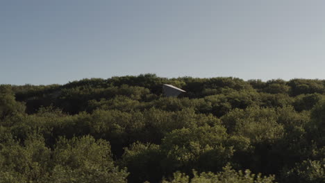 Drohnenaufnahme-Eines-Walddachs-Mit-Hütte,-Durch-Die-Man-4k-Sieht