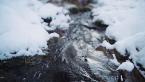 Stream-in-snowy-forrest