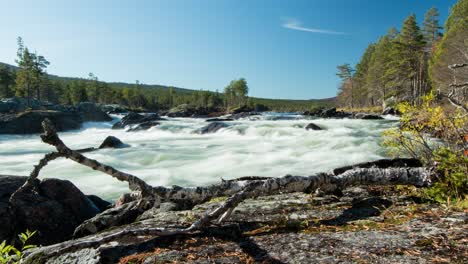 Flujo-Del-Río-En-El-Timelapse-Del-Bosque-De-Verano-Noruego