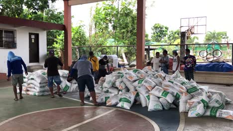 farmers-arrange-sacks-of-crop-for-planting