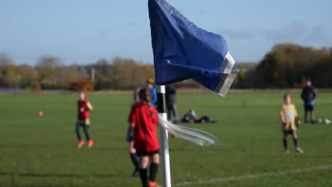 Group-of-children-play-sports-in-a-field