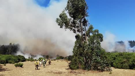 Feuerwehrleute-Von-Fairview-Nähern-Sich-Dichtem-Rauch,-Um-Waldbrand-Einzudämmen