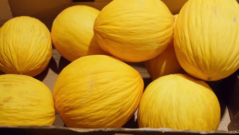 Yellow-melons-in-local-supermarket,-Vilnius,-Lithuania,-filmed-with-Panasonic-GH5-with-sigma-art-35mm-lens