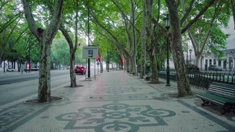 Empty-Lisbon-city-downtown-large-avenue-with-public-benches,-ornamented-pavement,-old-buildings-under-big-trees-during-covid-19-lockdown-at-sunrise-4k