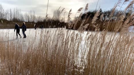 Die-Menschen-Genießen-Schlittschuhlaufen,-Rodeln-Und-Eislaufen-Auf-Einem-Zugefrorenen-Teich-In-Einem-Stadtpark-Während-Der-Eisigen-Kälte-Im-Februar