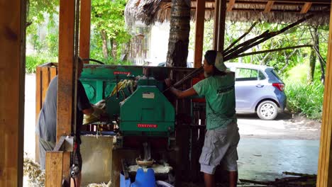 Three-men-crushing-sugarcane-at-the-rum-distillery-for-the-distillery