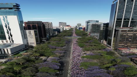 Aerial-view-vertical-mode,-March-8th-Women's-Day-march,-on-Paseo-de-la-Reforma,-Mexico-City