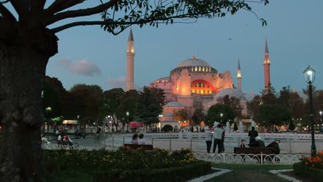 Nachtclip-Der-Beleuchteten-Hagia-Sophia,-Eingerahmt-Von-Einem-Baum-Während-Der-Covid-Pandemie-2020