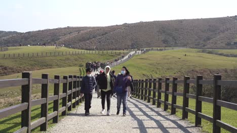 Zeitraffer-Lokaler-Touristen,-Die-Den-Grünfeldkoppel-yangmingshan-nationalpark-In-Covid-Sicherem-Taiwan-Besuchen