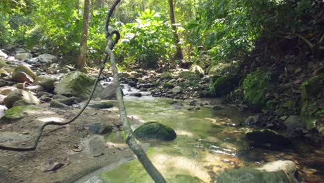 Flying-atop-shallow-river-through-branches-in-a-tropical-forest,-Colombia