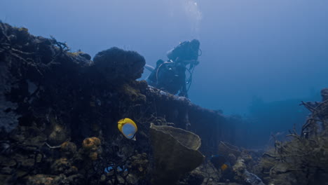 Two-marine-biologist-diving-around-ship-wreckage