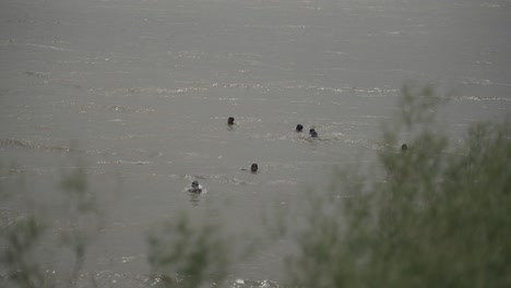 Viele-Kinder-Baden-Im-Wasser-Des-Ganges