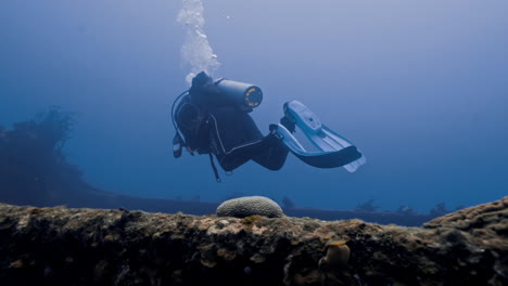 Two-marine-biologist-diving-around-ship-wreckage