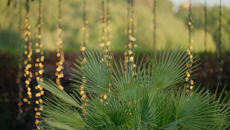 Palm-leaves-in-the-foreground-with-blurred-string-lights-creating-a-magical-and-festive-outdoor-ambiance