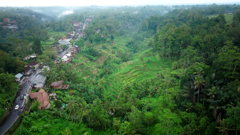 Terraced-fields-and-village,-Tegalalang,-Bali-in-Indonesia