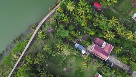 Houses-Among-Coconut-Trees-By-The-Pajo-River-In-Virac,-Catanduanes,-Philippines