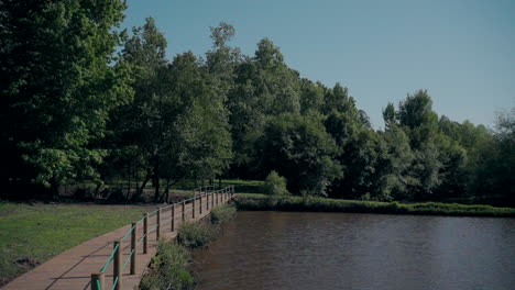 Holzsteg-über-Einem-Teich,-Umgeben-Von-üppigen-Bäumen-In-Einer-Ruhigen,-Natürlichen-Umgebung