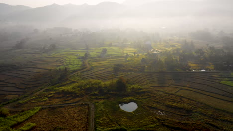 Vista-Aérea-De-Drones-Sobre-Campos-Agrícolas-Cubiertos-De-Niebla-En-El-Paisaje-Rural-De-Tailandia