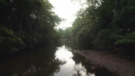 River-and-tropical-rain-forests-of-Costa-Rica,-backward-shot