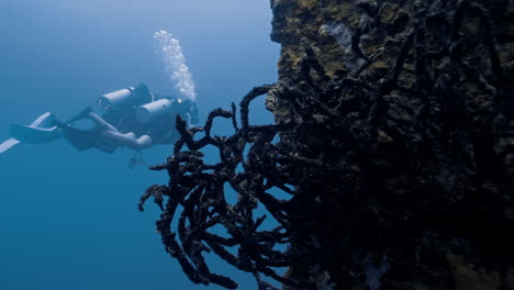 Two-marine-biologist-diving-around-ship-wreckage