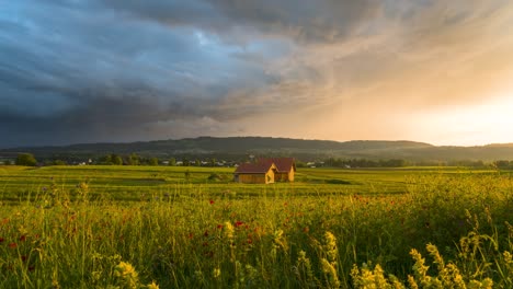 Breathtaking-sunset-light-spreads-across-golden-grass-of-farmland-while-storm-clouds-rain-down,-dramatic-contrast-between-sky