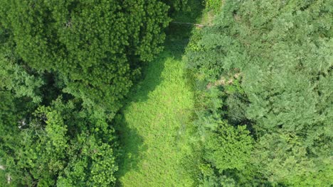 Aerial-view-shot-of-deep-green-forest