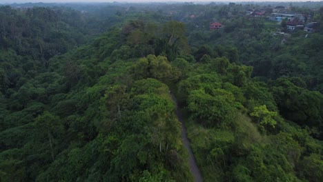 Aerial-view-of-Campuhan-Ridgewalk-at-sunset-with-lush-greenery-in-Ubud,-Bali,-Indonesia