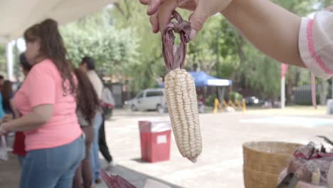 Sacando-Una-Mazorca-De-Maíz-De-Su-Cáscara-Y-Mostrándola