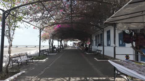 Colorful-market-stalls-under-blooming-arches-in-Casco-Viejo,-Panama-City,-by-the-beach