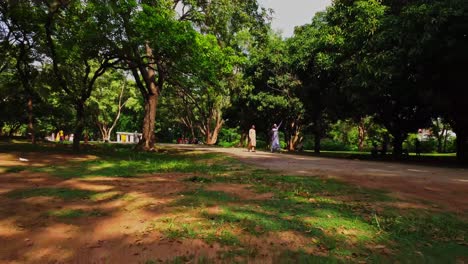 Dolly-De-Personas-Con-Ropa-Tradicional-Africana-Caminando-Por-Un-Hermoso-Parque-En-Un-Día-Soleado-De-Verano-En-Abuja,-Nigeria