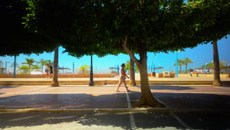 Gente-Caminando-Por-Un-Paseo-Soleado-Bordeado-De-árboles-Y-Con-Vistas-A-La-Costa,-Con-Palmeras-Y-Cielos-Azules