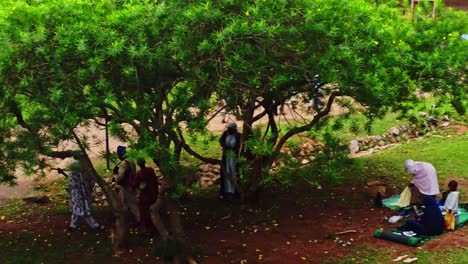 Hermosa-Foque-De-Gente-Caminando-Por-Un-Parque-En-África-Rural