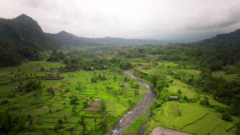 Lush-Green-Rice-Terraces-And-Villages-In-Sidemen,-Bali-Indonesia