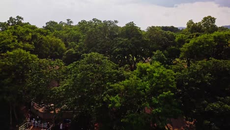 Drone-slowly-flying-over-lake-and-revealing-a-beautiful-green-park-in-Abuja,-Nigeria,-Africa