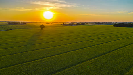 Drone-hyperlapse-backwards-over-rural-fields,-summer-sunset-on-the-countryside