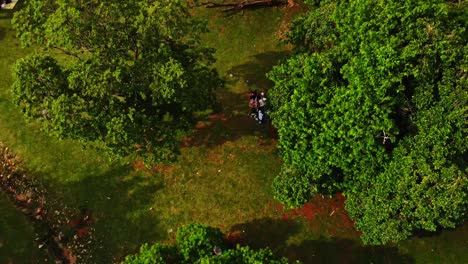 Beautiful-jib-down-of-a-small-group-of-people-standing-underneath-trees-in-a-beautiful-green-park-in-rural-Africa