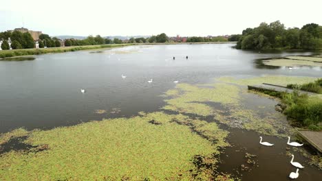 Aerial-shot-of-The-Waterworks-in-North-Belfast,-NI