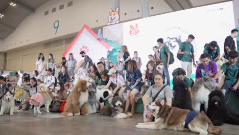 Tierliebhaber-Und-Ihre-Hunde-Treffen-Sich-Zu-Einem-Festival-Im-Ice-BSD-Tangerang-Selatan