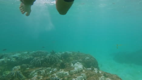 Pies-Bajo-El-Agua-Del-Mar