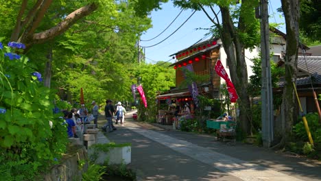 Ruhige-Und-Entspannende-Landschaft-Im-Jindai-ji-Tempelbereich-In-Tokio