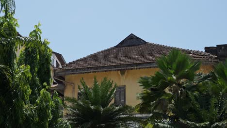 Zanzibar-Buildings-in-Stone-Town-in-the-Main-City-in-Zanzibar-with-Old-Yellow-Ruins-of-Buildings-in-Tanzania,-Historic-UNESCO-World-Heritage-Site