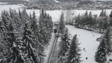 Un-Sereno-Sendero-Forestal-Cubierto-De-Nieve-Con-árboles-Cubiertos-De-Nieve-Fresca