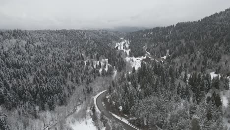 Un-Sereno-Paisaje-Invernal-Que-Presenta-Un-Denso-Bosque-Cubierto-De-Nieve,-Creando-Una-Escena-Tranquila-Y-Pintoresca