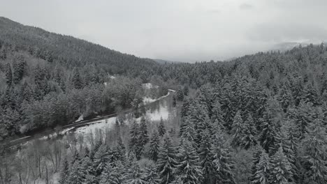 Ein-Ruhiges-Wintertal-Mit-Schneebedeckten-Bäumen-Und-Einer-Kulisse-Aus-Schneebedeckten-Bergen